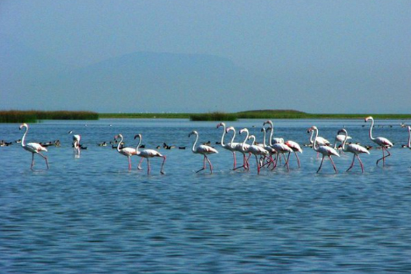 Chilika Lake