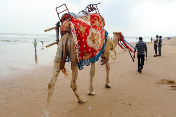 Swargadwar Beach
